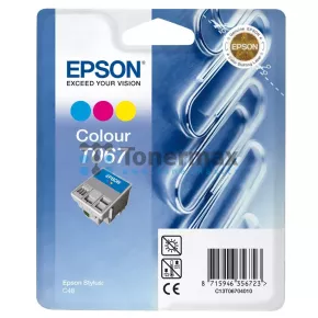 Epson T067, C13T06704010