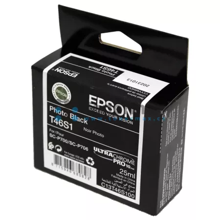 Cartridge Epson T46S1, C13T46S100