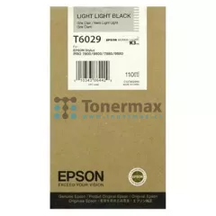 Epson T6029, C13T602900