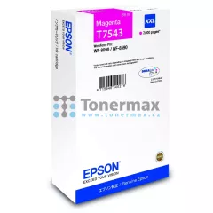 Epson T7543, C13T754340 (XXL)
