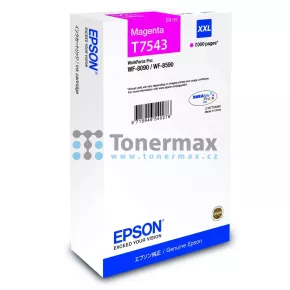 Epson T7543, C13T754340 (XXL)