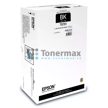 Cartridge Epson T8781, C13T878140 (XXL)